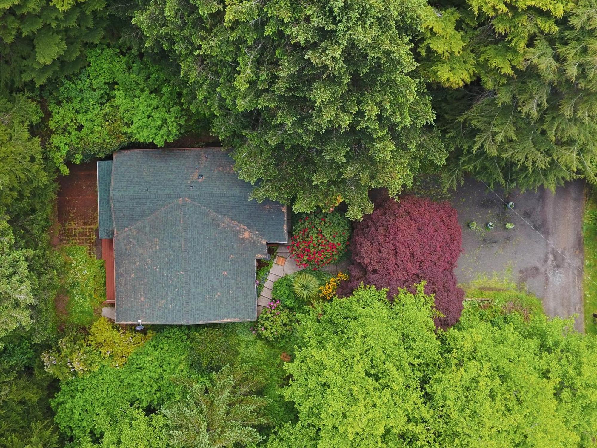 Woods Waves: Luxury Coast Cabin King Beds Pets Tillamook Eksteriør bilde